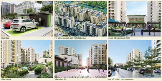 Thông báo thời điểm tiếp nhận hồ sơ đăng ký mua Nhà ở xã hội Tòa G5 (Đợt 4) thuộc Dự án NƠXH tại Khu đất ký hiệu XH1, Khu C – ĐTM An Vân Dương, P. Mỹ Thượng, TP. Huế